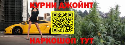 шишки Гусиноозёрск