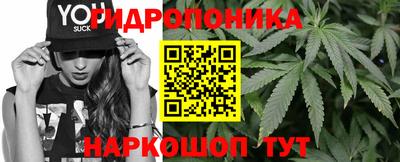 шишки Гусиноозёрск