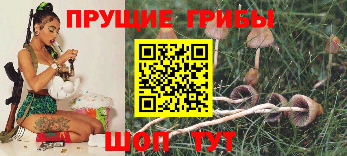 Псилоцибиновые грибы MAGIC MUSHROOMS Кимовск