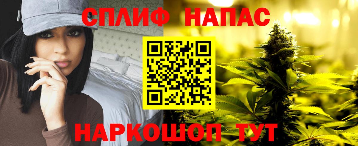 МАРИХУАНА сатива Кимовск